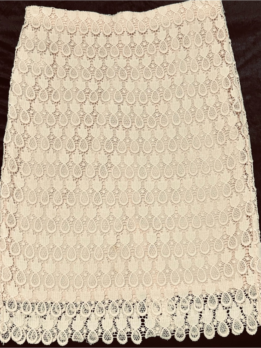 Ann Taylor Blush Pink Lace Pencil Skirt and Matching Top - Picture 2 of 3